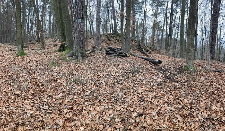 Zřícenina Hradu Kuchlov, Czech Republic (Czechia)